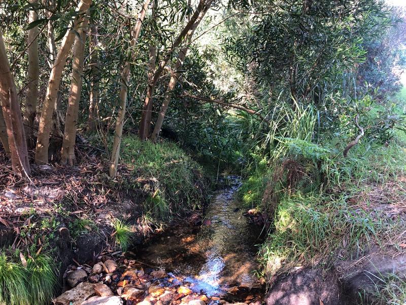 0 Bedroom Property for Sale in Baardskeerdersbos Western Cape